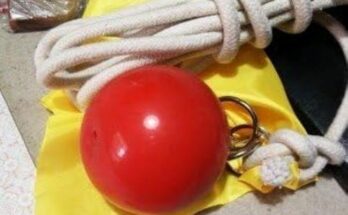 Suzakoo fitness ball with rope used for strength and conditioning exercises.