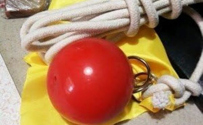 Suzakoo fitness ball with rope used for strength and conditioning exercises.